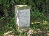 image of grave number 411629